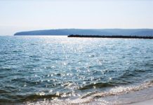 INSP: Creşterea concentraţiei de E.coli din apa Mării Negre nu se încadrează în „situaţie anormală”