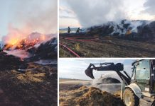 Sfârșit fierbinte de săptămână pentru pompierii prahoveni: incendii în lanuri de grâu și case cuprinse de flăcări