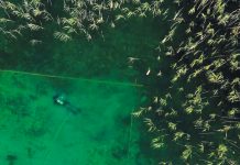 Arheologii studiază cea mai veche așezare lacustră din Europa, datând de acum 8.000 de ani