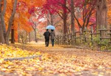 ANM: Temperaturile vor fi mai ridicate decât normalul perioadei, în următoarele patru săptămână