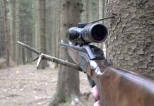 La nivel național, peste 2.700 de arme de foc deținute ilegal au fost confiscate de polițiști