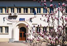 Liceele pedagogice nu vor mai organiza admiteri pentru învăţători şi educatori