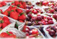 Autoritățile fitosanitare au declanșat operațiunea „Cireașa și Căpșuna”