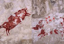 A fost descoperită cea mai veche pictură din lume