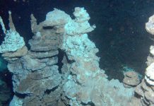 LUCA – strămoşul comun al tuturor formelor de viaţă de pe Pământ