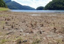 Efectele secetei prelungite în Prahova, în luna august: distribuirea apei cu porția, debite reduse pe unele cursuri de apă