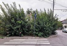 Instantanee din Prahova