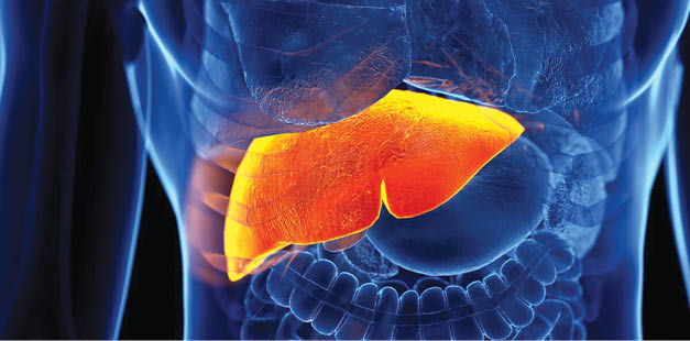 Liver Diseases: Silent Threat Affecting Men Most