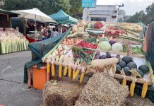 O nouă ediţie a „Târgului de Toamnă“, la Ploieşti