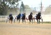 Final la galop