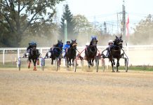 Final la galop