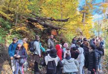 Lecție despre natură pentru elevi din Breaza, în Parcul Natural Bucegi