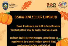 La Parcul Bucov – Seara dovlecilor luminoși!