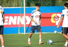 „Emoţii” pentru Boţogan şi Sălceanu