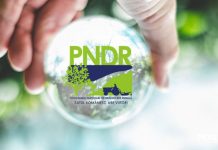 România a ajuns la un grad de absorbţie de peste 95% din fondurile europene alocate prin PNDR 2014-2020