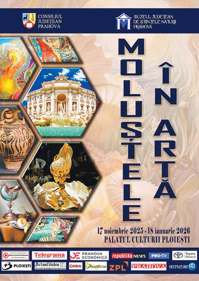 afis _ expozitie moluste