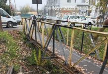 12.000 de lei, sancțiunea cu care s-a ales o ploieșteancă după ce a abandonat deșeuri în albia pârâului Dâmbu