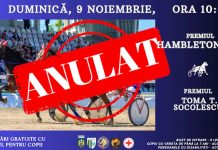 Reuniune hipică anulată