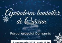 Primăria Comarnic a anunțat când se vor aprinde luminițele de sărbători în oraș