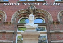 Institutul Pasteur e îngrijorat că mutații ale virusului gripei aviare vor putea provoca o pandemie gravă