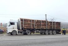 Peste opt mii de controale pentru combaterea furturilor de material lemnos, derulate în acest an de către reprezentanţii Direcţiei Silvice Prahova