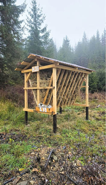 Protejarea faunei cinegetice