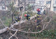 Peste trei sute de misiuni derulate de pompierii prahoveni în perioada 24–28 decembrie