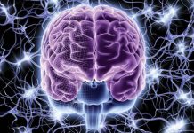 Creierul poate fi antrenat pentru performanţă creativă şi intelectuală