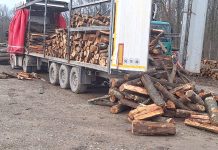 Dosar penal pentru transport ilegal de material lemnos, întocmit de poliţiştii prahoveni