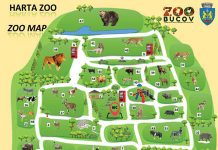 Copiii, „exploratori în lumea animalelor” la Grădina Zoologică Bucov