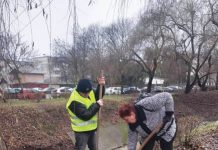 SGU Ploiești anunță că planul de plantare a arborilor și arbuștilor este în derulare
