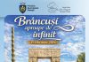 Elevii prahoveni sunt invitați să descopere valorile marelui sculptor Brâncuși și să le transpună în propriile lor creații