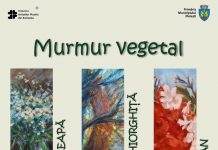 Murmur vegetal- o expoziție care domolește iarna de afară, dar și iernile sufletești !
