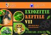 La Ploieşti, expoziţie cu peste 70 de reptile vii