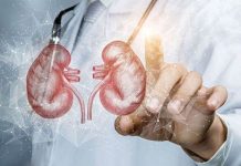 Expunerea ridicată la nanoplastice ar putea afecta sănătatea şi funcţionarea celulelor renale