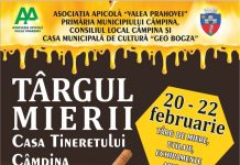 Prahova găzduiește cel mai mare târg apicol din România