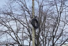 Cablurile care atârnă pe stâlpi vor fi eliminate de Primăria Ploiești dacă nu sunt recuperate de „rețelari”!