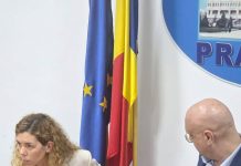 Căţelul Alfie la Prefectura Prahova: Daniel Nicodim trage un semnal de alarmă privind câinii fără stăpân