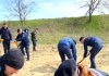 1.500 de puieţi au fost plantaţi de jandarmii prahoveni pe raza comunei Drăgăneşti