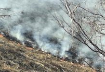 Incendiu pe raza Ocolului Silvic Verbila – stins de pădurari alături de pompieri şi localnici!