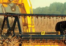 România i-a luat locul Ucrainei ca principal furnizor de rapiță pentru Germania