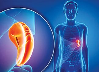 Splina ar putea juca un rol-cheie în recuperarea după AVC